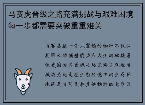 马赛虎晋级之路充满挑战与艰难困境每一步都需要突破重重难关