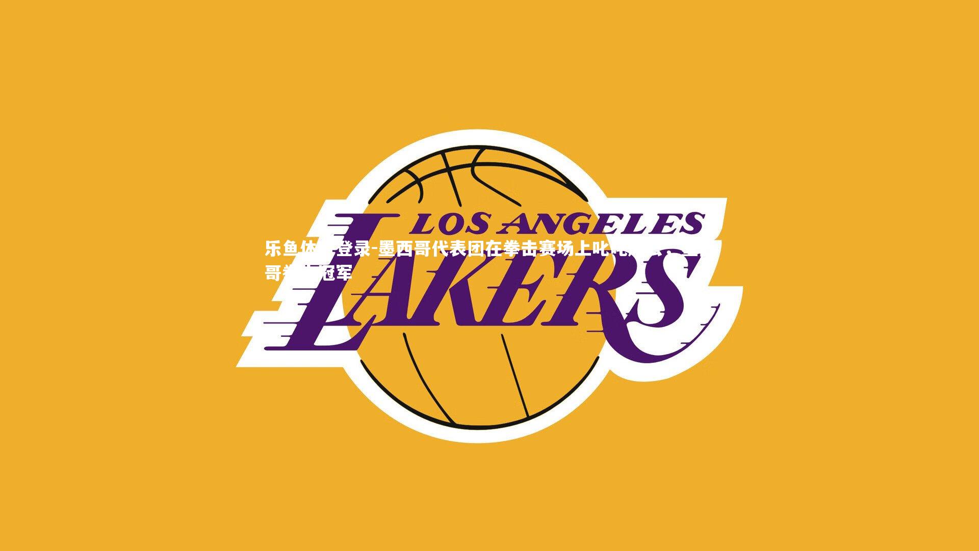 乐鱼体育登录-墨西哥代表团在拳击赛场上叱咤风云，墨西哥拳击冠军