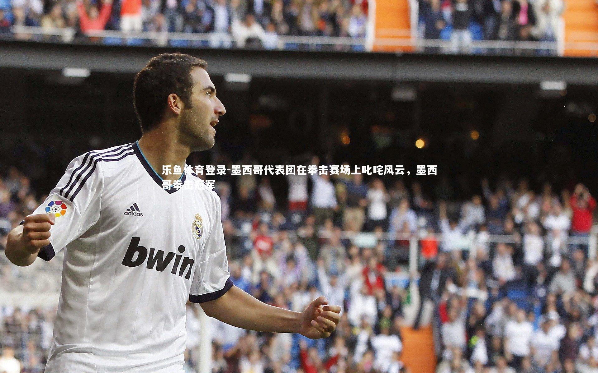 墨西哥代表团在拳击赛场上叱咤风云，墨西哥拳击冠军