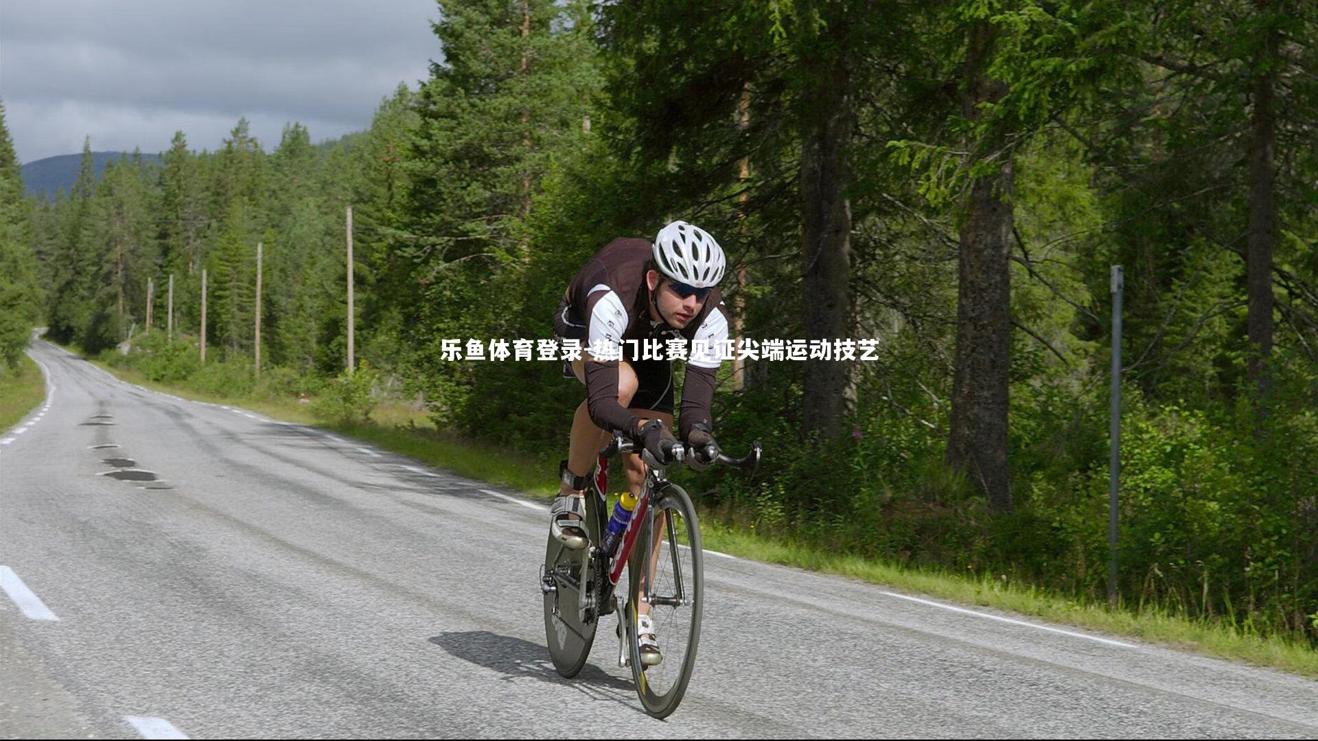 热门比赛见证尖端运动技艺