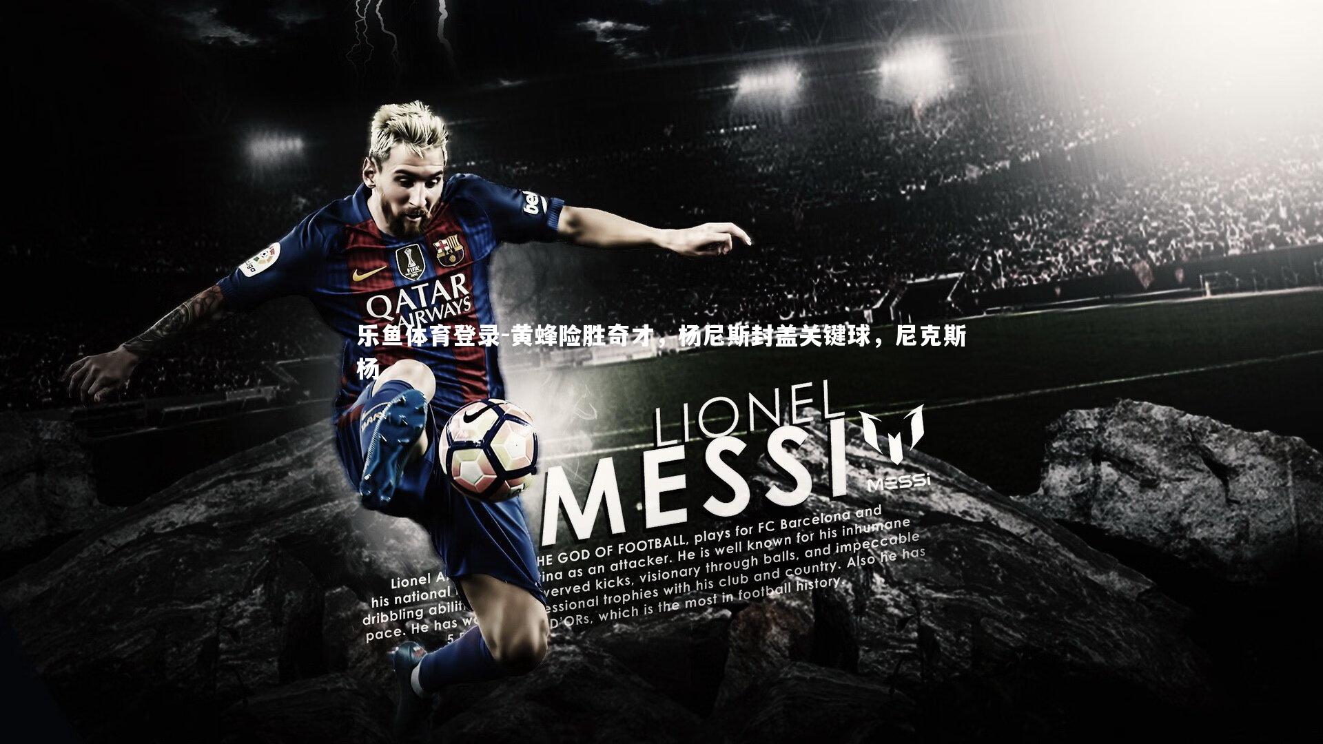 黄蜂险胜奇才，杨尼斯封盖关键球，尼克斯杨