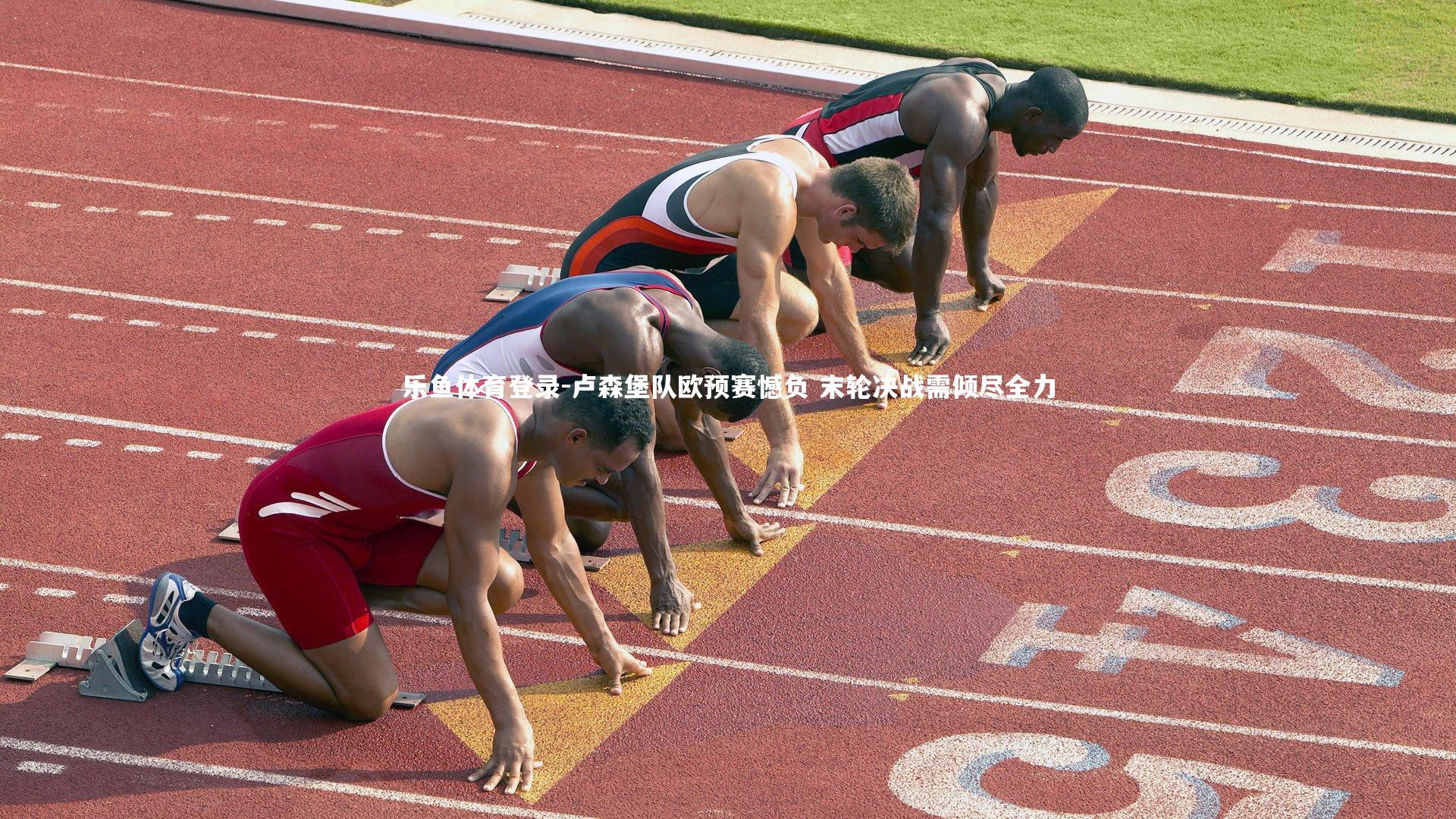 乐鱼体育登录-卢森堡队欧预赛憾负 末轮决战需倾尽全力