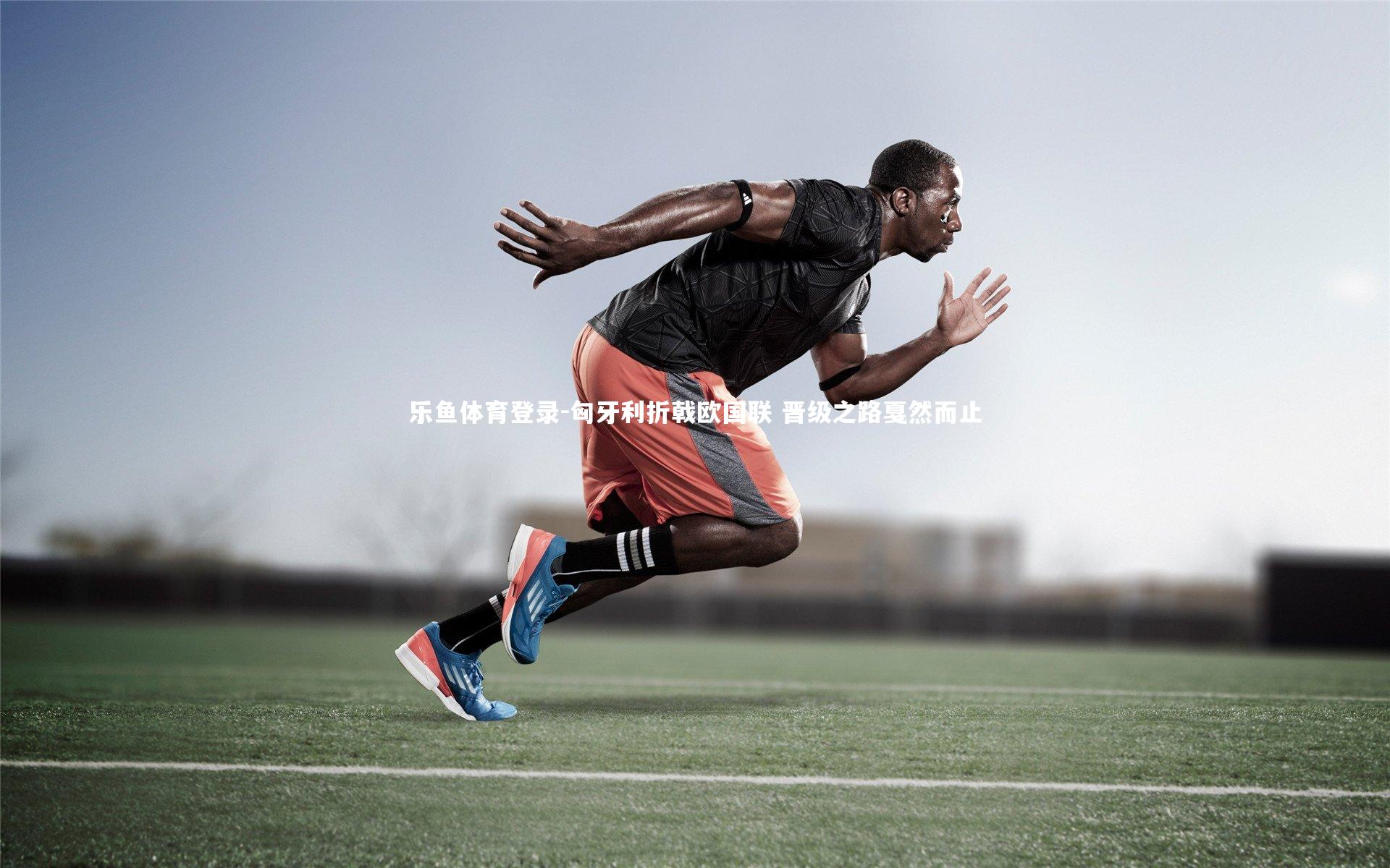 乐鱼体育登录-匈牙利折戟欧国联 晋级之路戛然而止