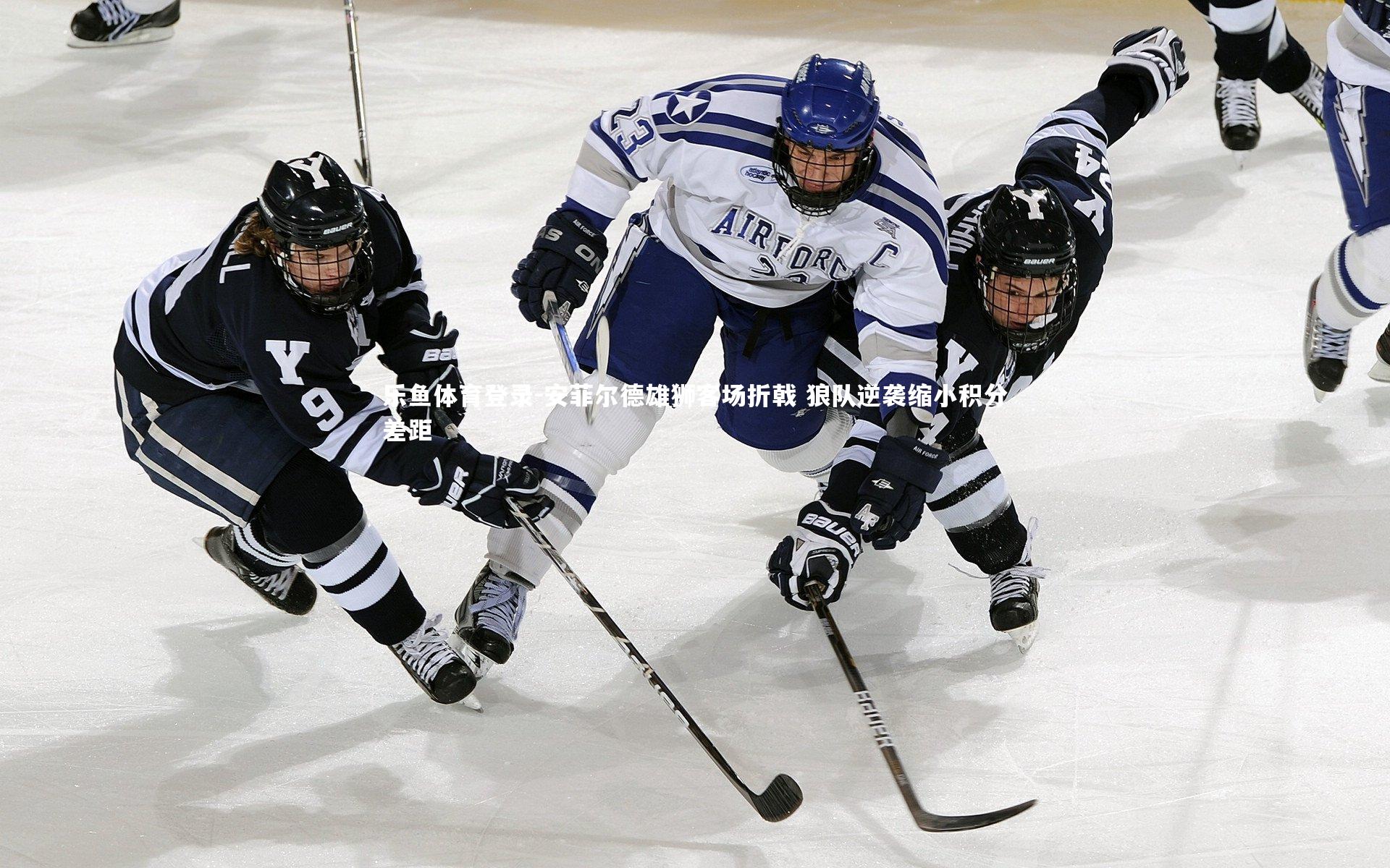 乐鱼体育登录-安菲尔德雄狮客场折戟 狼队逆袭缩小积分差距